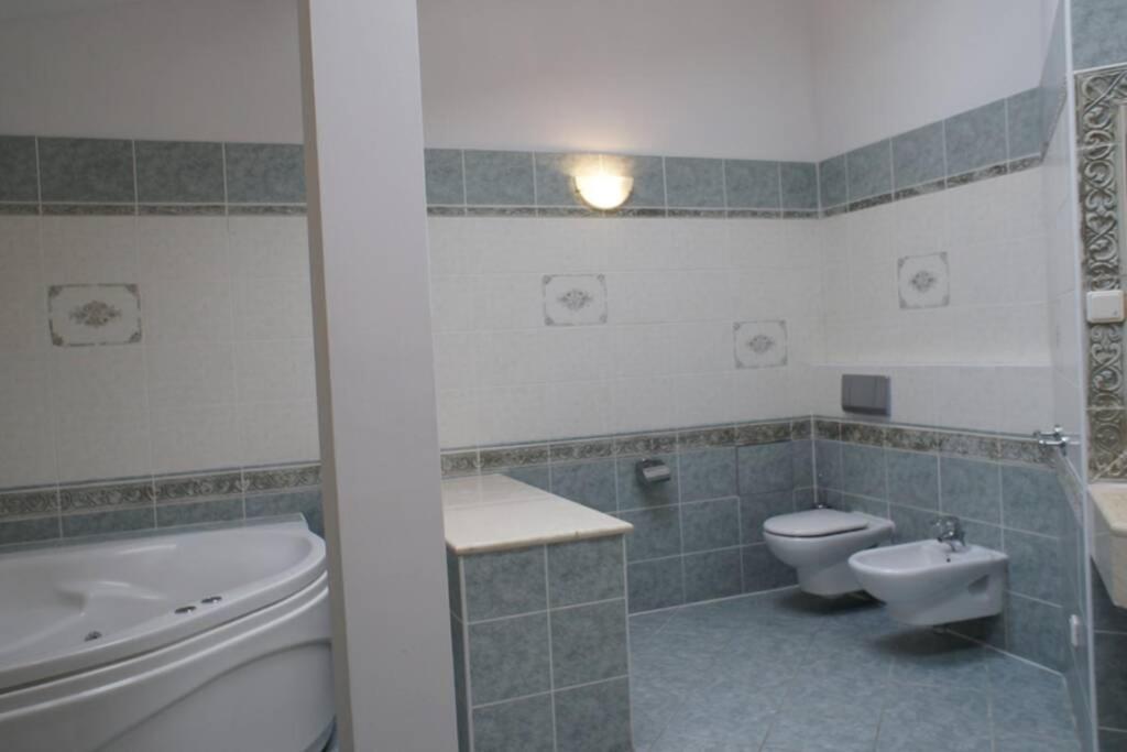 Florianska Penthouse Delux Apartment Krakow Luaran gambar